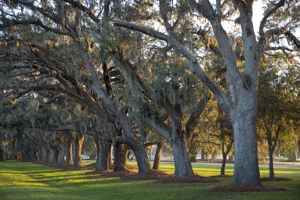The Lodge At Sea Island St. Simons Island Зручності фото